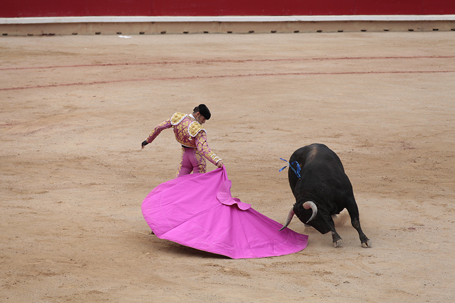La foire taurine de Pamplona